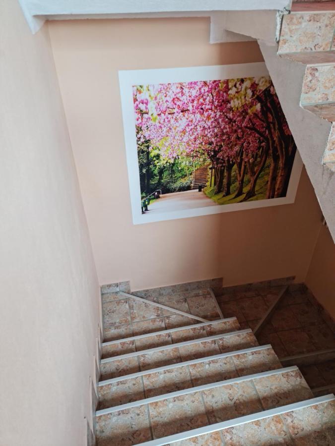 Apartman'S Ana Pale-Oc Jahorina No.2 Esterno foto